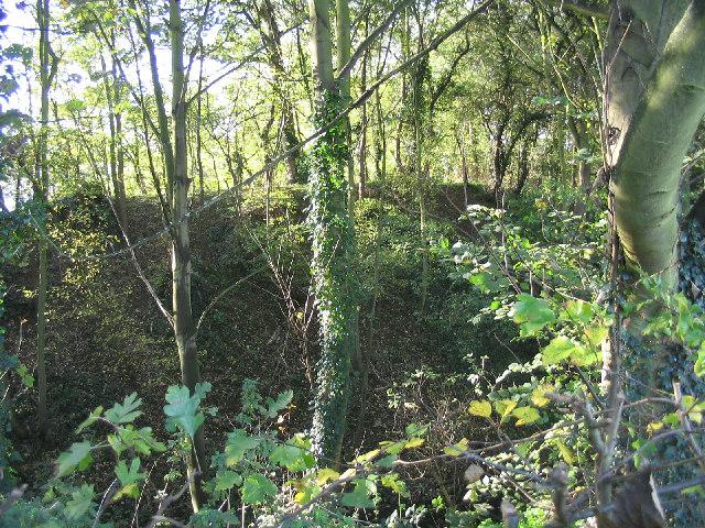 Ongar Castle