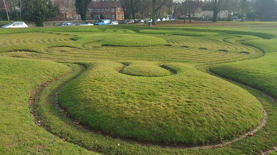 Turf Maze