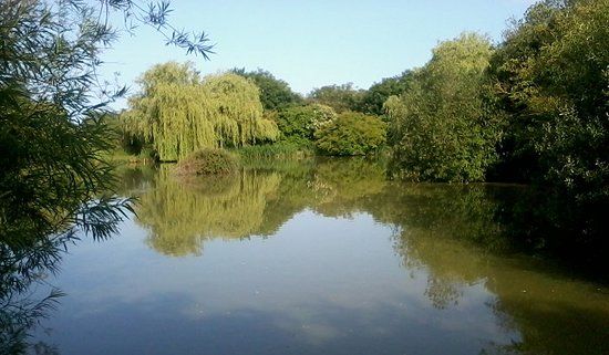 Fennes Fisheries
