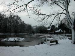 Shenfield Common