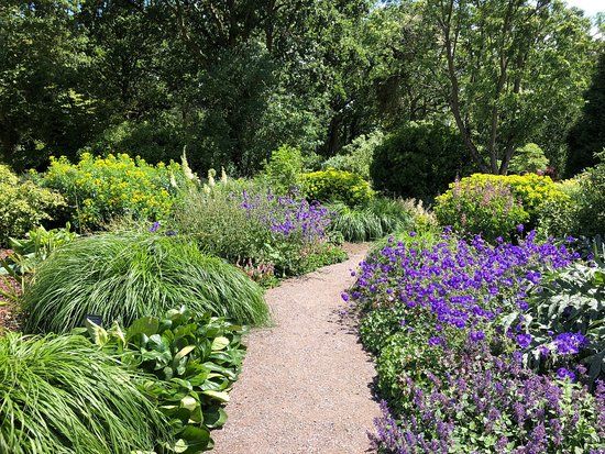 The Beth Chatto Gardens