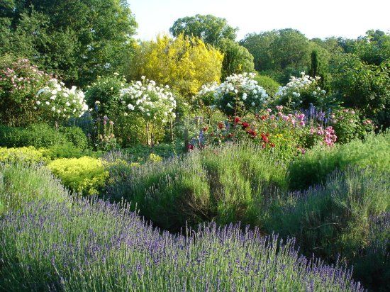 Spencers Garden
